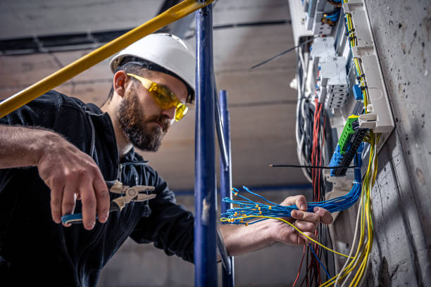 Best Electric Panel Repair  in Kalamazoo, MI